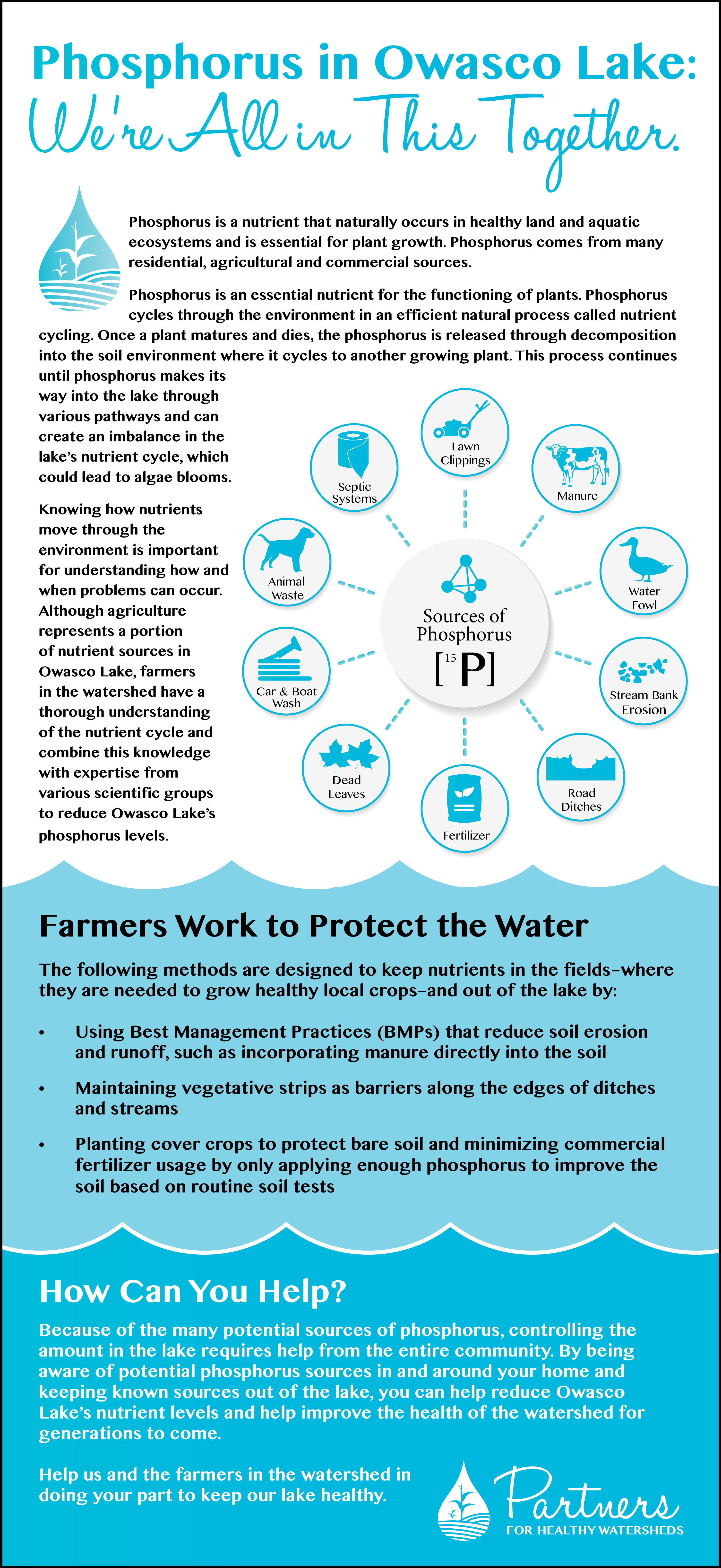 Phosphorus in the Owasco Lake Watershed