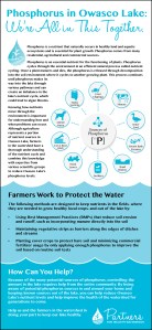 Phosphorus in the Owasco Lake Watershed